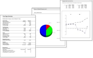 FLS sample reports